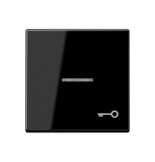 Клавиша для контрольного выключателя со знаком ключ; черный   A590KO5TSW  Jung