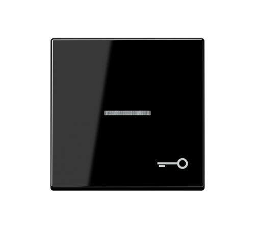 Клавиша для контрольного выключателя со знаком ключ; черный   A590KO5TSW  Jung