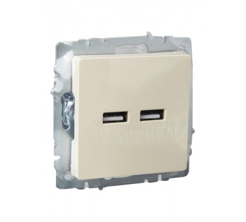 BRITE Розетка USB A+A 3,1А РЮ10-1-БрКр бежевый  BR-U21-D31-K10  IEK