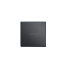 Клавиша для одинарного выключателя с окошком; черный матовый  EP490KOSWM  Jung