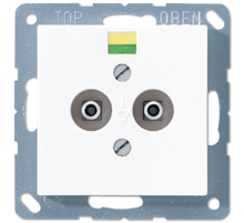 Штепсельная розетка для выравнивания потенциалов A565-2BFWW Jung
