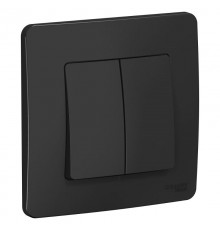 Blanca Антрацит С/У Переключатель 2-клавишный, 10А, 250B  BLNVS106606  SE