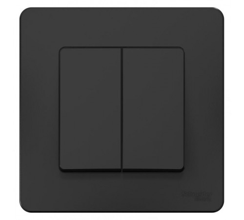 Blanca Антрацит С/У Переключатель 2-клавишный, 10А, 250B  BLNVS106606  SE