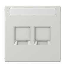 Плата (фиксация защёлкиванием) для двух модулей с полем для надписи; термопласт; светло-серый LS1969-2NAWELG Jung