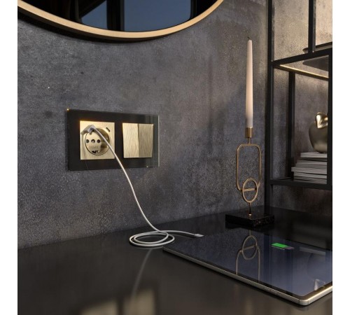 W1171710/ Электроустановочные изделия - Розетка с заземлением, шторками и USB тип A+C (шампань рифленый )  a056276  Werkel