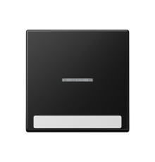 Клавиша с полем для надписи A590BFNAKO5SWM Jung