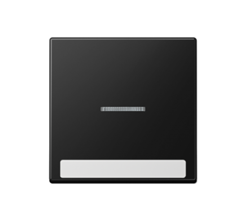 Клавиша с полем для надписи A590BFNAKO5SWM Jung