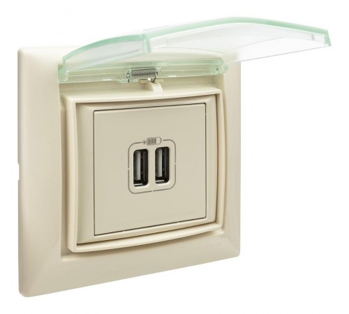Valena Сл. кость Розетка 2-ая USB  774170  Legrand