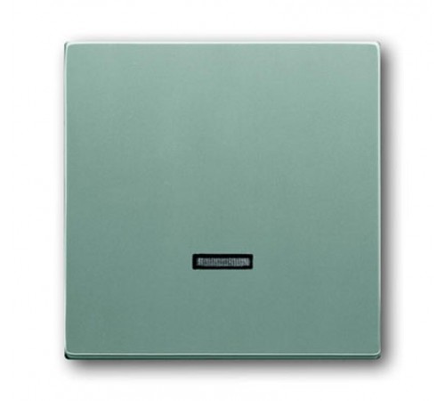 Клав. для светорег. 6550 U-10x, 6560 U-101, 6593 U, реле 6401 U-10x,6402 U, серия solo/future, цвет серебр.-алюм.  6599-0-2887   2CKA006599A2887  A