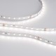 Лента светодиодная RT 2-5000-50m 24V Day4000 (2835, 80 LED/m, LUX)  024524(1)  Arlight