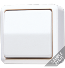 Выключатель для накладного монтажа, двухполюсный; слоновая кость  602A  Jung