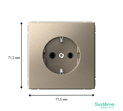 ArtGallery Шампань Розетка с заземлением, 16А, механизм, быстрозажим. клем.   GAL000543S  SE