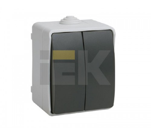 Форс Выключатель 2-клавишный О/У IP54 ВС20-2-0-ФСр EVS20-K03-10-54-DC  IEK