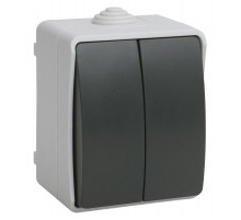 Форс Выключатель 2-клавишный О/У IP54 ВС20-2-0-ФСр EVS20-K03-10-54-DC  IEK