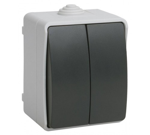 Форс Выключатель 2-клавишный О/У IP54 ВС20-2-0-ФСр EVS20-K03-10-54-DC  IEK