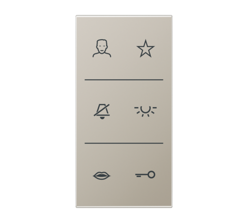 Video-дизайнерская накладка                    SIV6ESDC Jung