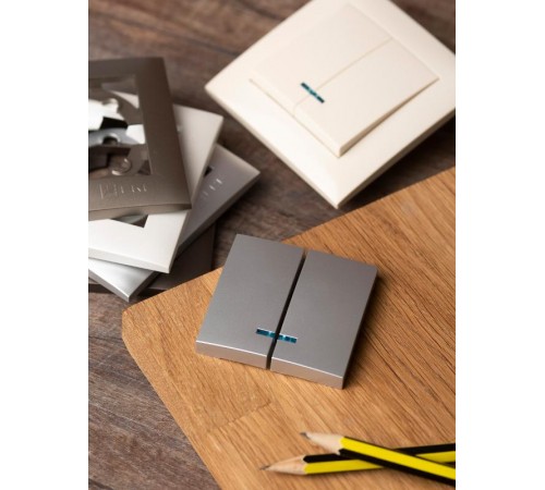 Валенсия лицевая панель выключателя 2-кл. с индикатором 10А сталь EKF PROxima   ESV10-L-123-30   EKF