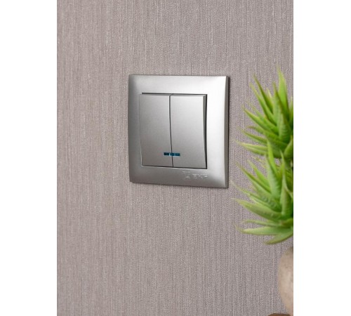 Валенсия лицевая панель выключателя 2-кл. с индикатором 10А сталь EKF PROxima   ESV10-L-123-30   EKF