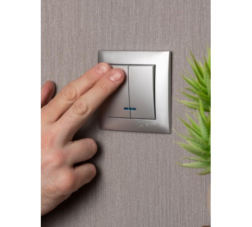 Валенсия лицевая панель выключателя 2-кл. с индикатором 10А сталь EKF PROxima   ESV10-L-123-30   EKF