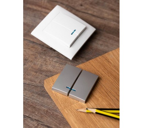 Валенсия лицевая панель выключателя 2-кл. с индикатором 10А сталь EKF PROxima   ESV10-L-123-30   EKF