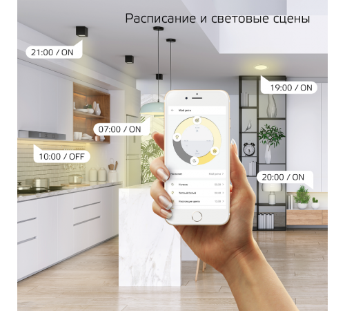 Лампа Светодиодная Smart Home DIM E27 A60 10 Вт 2700К 1/10/40  1070112  Gauss