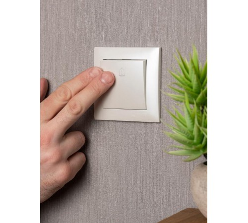 Валенсия лицевая панель кнопки звонка 10А жемчуг EKF PROxima   ESV10-L-026-50   EKF