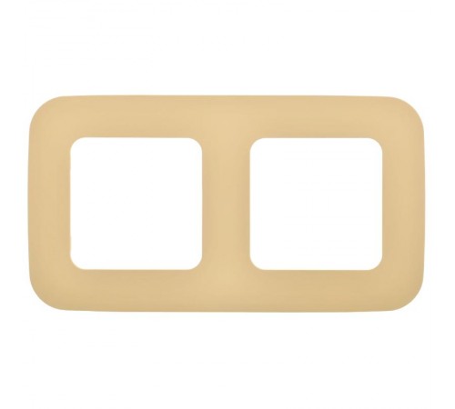 FLITE Artistic Рамка 2-ая РУ-2-А-ФлН навахо  FI-M22-31-20-K87  IEK