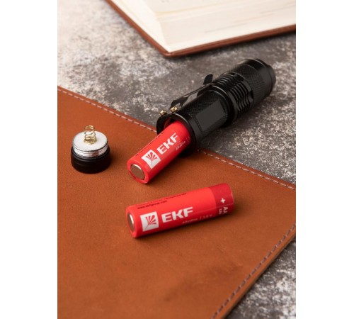 Батарейка алкалиновая типа АА(LR6) шринк 4шт.  LR6-SR4  EKF