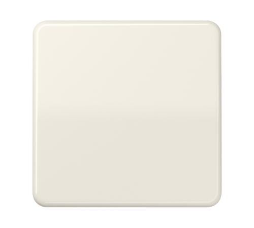 Одинарная клавиша для балансирных механизмов выключателей (кнопок), в комплекте с CD90HP (крепежный элемент), возможно IP44; дюропласт; слоновая кость