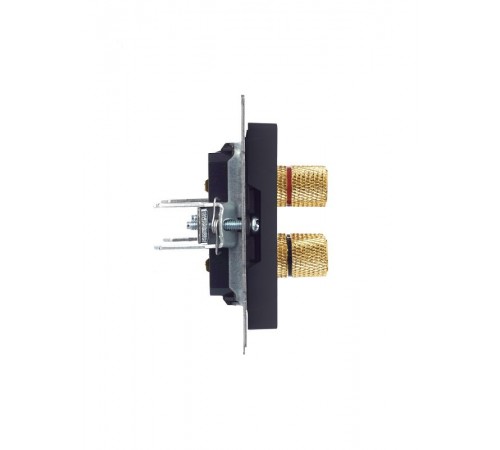 BRITE АудиоРозетка 4-местная РА10-БрГ графит  BR-S40-K53  IEK