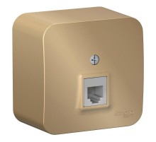 Blanca Титан О/У с изолирующей пластиной Титан Розетка телефонная RJ11  BLNIA011004  SE