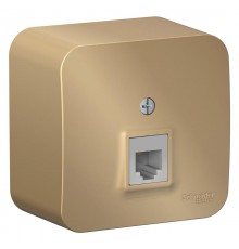 Blanca Титан О/У с изолирующей пластиной Титан Розетка телефонная RJ11  BLNIA011004  SE