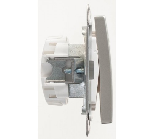 W59 Шампань Переключатель 2-клавишный 10АХ  VS610-256-4-86  SE