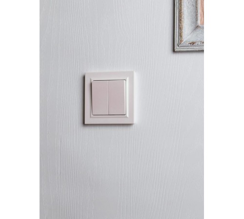 BRITE Выключатель 2-клавишный 10А в сборе ВСР10-2-0-БрЖ жемчуг  BR-V20-0-10-K36-F  IEK