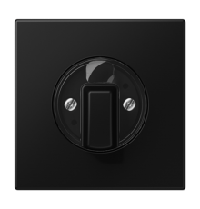 Накладка на поворотные выключатели; дюропласт; черный матовый  LS1941SWM  Jung