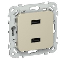 FLITE Розетка USB A+A 2,1А РЮ-2-ФлШ шампань  FI-U21-D31-K37  IEK