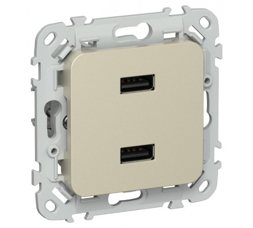 FLITE Розетка USB A+A 2,1А РЮ-2-ФлШ шампань  FI-U21-D31-K37  IEK