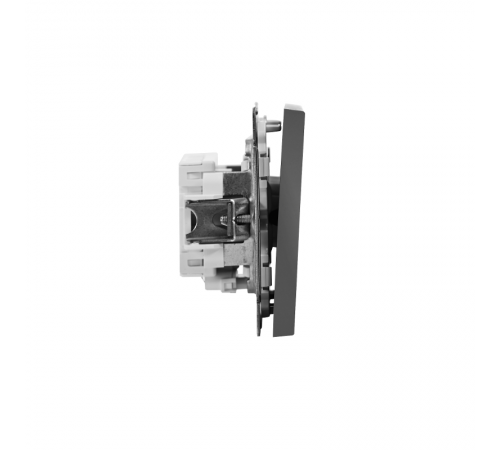 ArtGallery Сталь Выключатель 1-клавишный кнопочный с подсветкой, 10А, механизм  GAL000916  SE