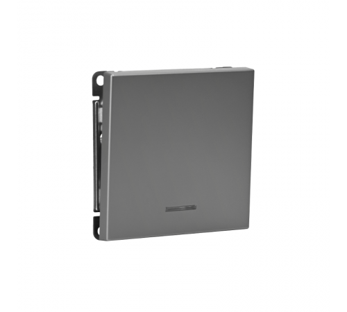 ArtGallery Сталь Выключатель 1-клавишный кнопочный с подсветкой, 10А, механизм  GAL000916  SE