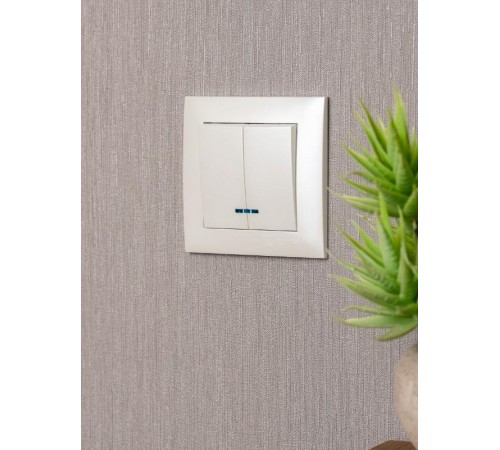 Валенсия лицевая панель выключателя 2-кл. с индикатором 10А жемчуг EKF PROxima   ESV10-L-123-50   EKF