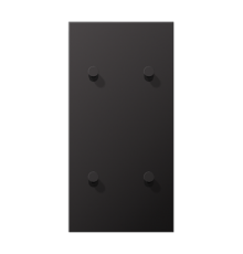 Центральная плата, 2 поста, для вертикальной установки, тумблеры 2+2,конус; металлическое исполнение; Dark; серия LS  AL12-25DK01  Jung