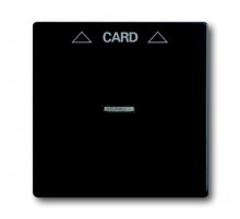Плата центральная (накладка) для механизма карточного выключателя 2025 U, серия solo/future, цвет черный бархат  1710-0-3905   2CKA001710A3905  ABB