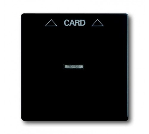 Плата центральная (накладка) для механизма карточного выключателя 2025 U, серия solo/future, цвет черный бархат  1710-0-3905   2CKA001710A3905  ABB