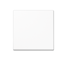 Стандартная центральная плата A1700WW Jung