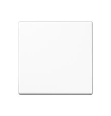 Стандартная центральная плата A1700WW Jung