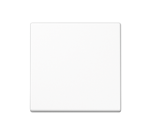 Стандартная центральная плата A1700WW Jung