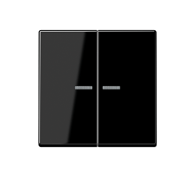 Клавиша для KNX кнопки, 2 группы, с окошком; дюропласт; черный  A102KO5SW  Jung