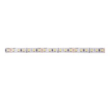 Лента светодиодная LS501, 120SMD(2835)/м 11Вт/м 24V 5000*8*1.22мм 4000К  41057  Feron