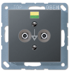 Штепсельная розетка для выравнивания потенциалов A565-2BFANM Jung