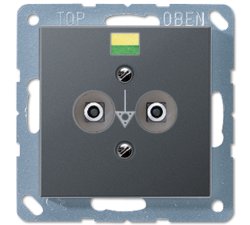 Штепсельная розетка для выравнивания потенциалов A565-2BFANM Jung